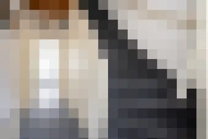 Beerninkstraat 17 Zwolle thumbnail 7