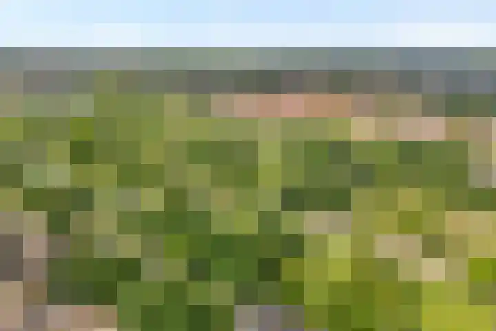 Beerninkstraat 21 Zwolle thumbnail 31