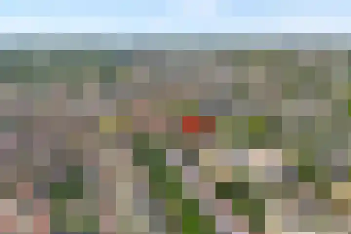 Beerninkstraat 21 Zwolle thumbnail 32