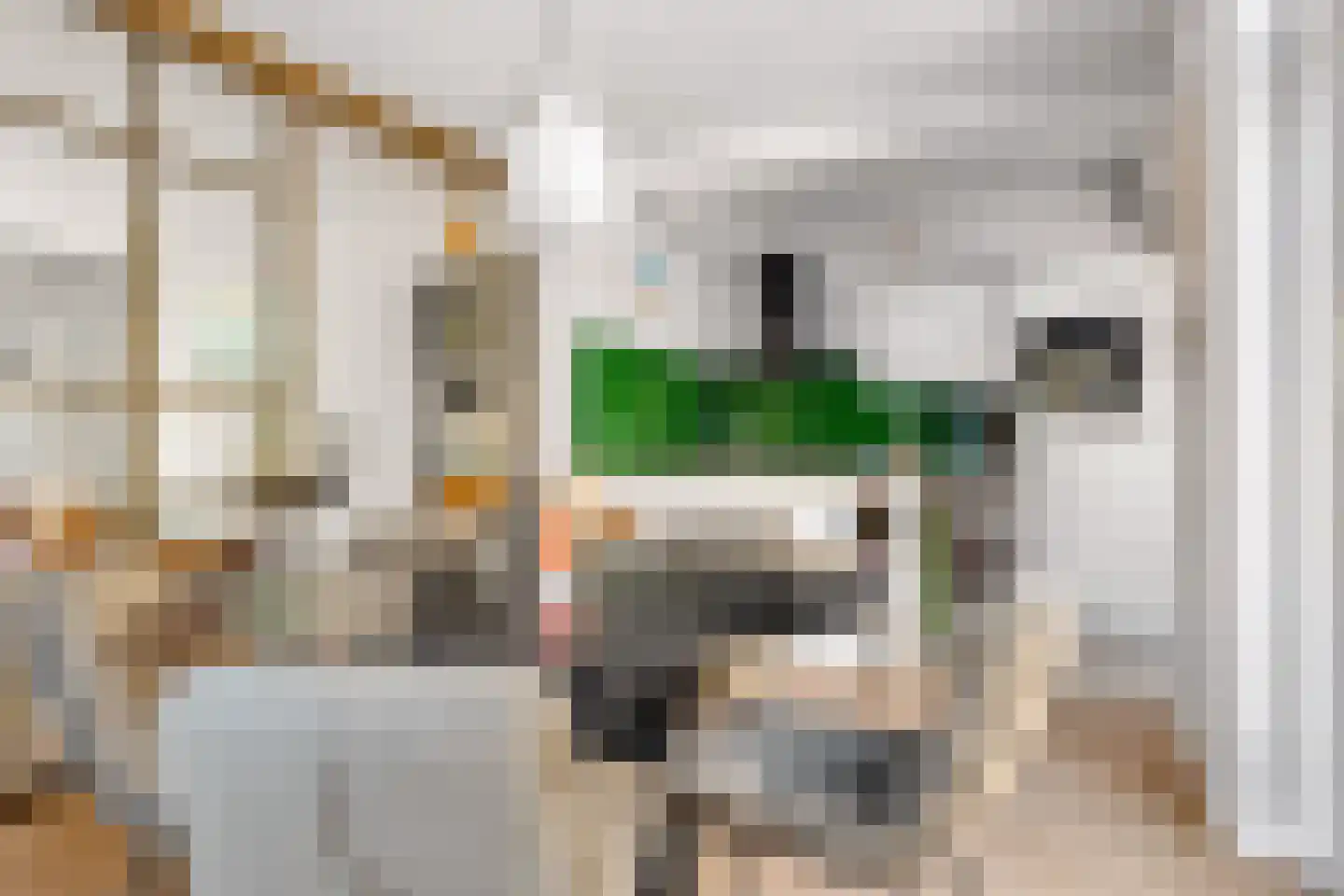 Beerninkstraat 23 Zwolle thumbnail 18