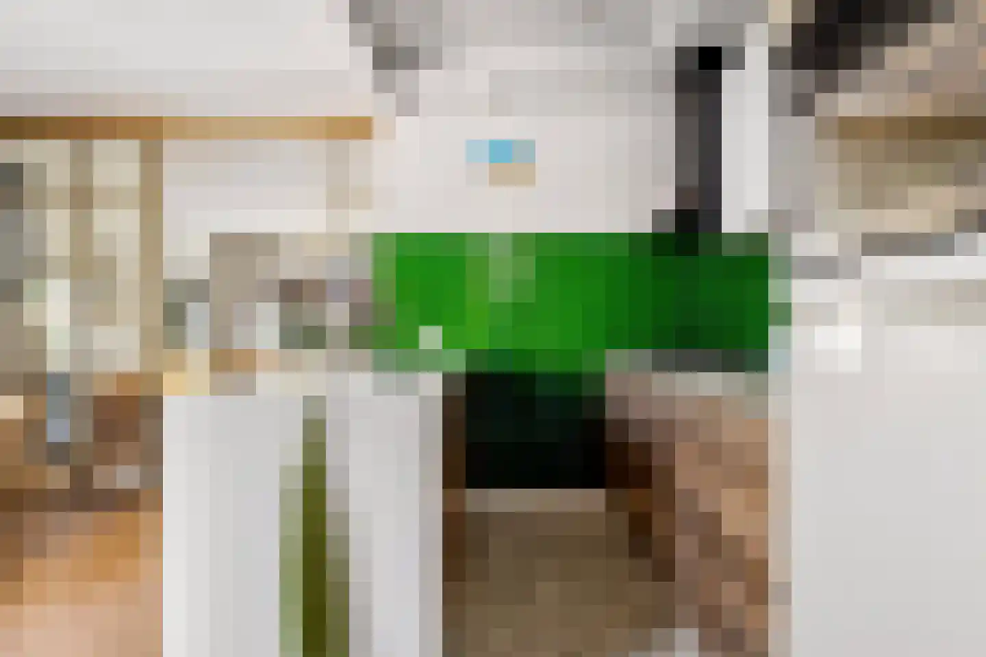 Beerninkstraat 23 Zwolle thumbnail 19