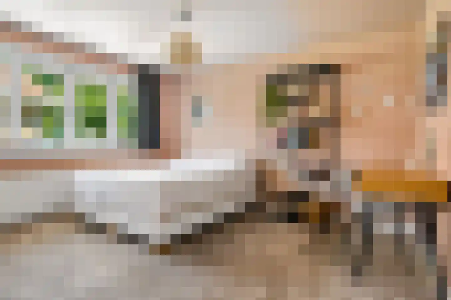 Beerninkstraat 23 Zwolle thumbnail 27