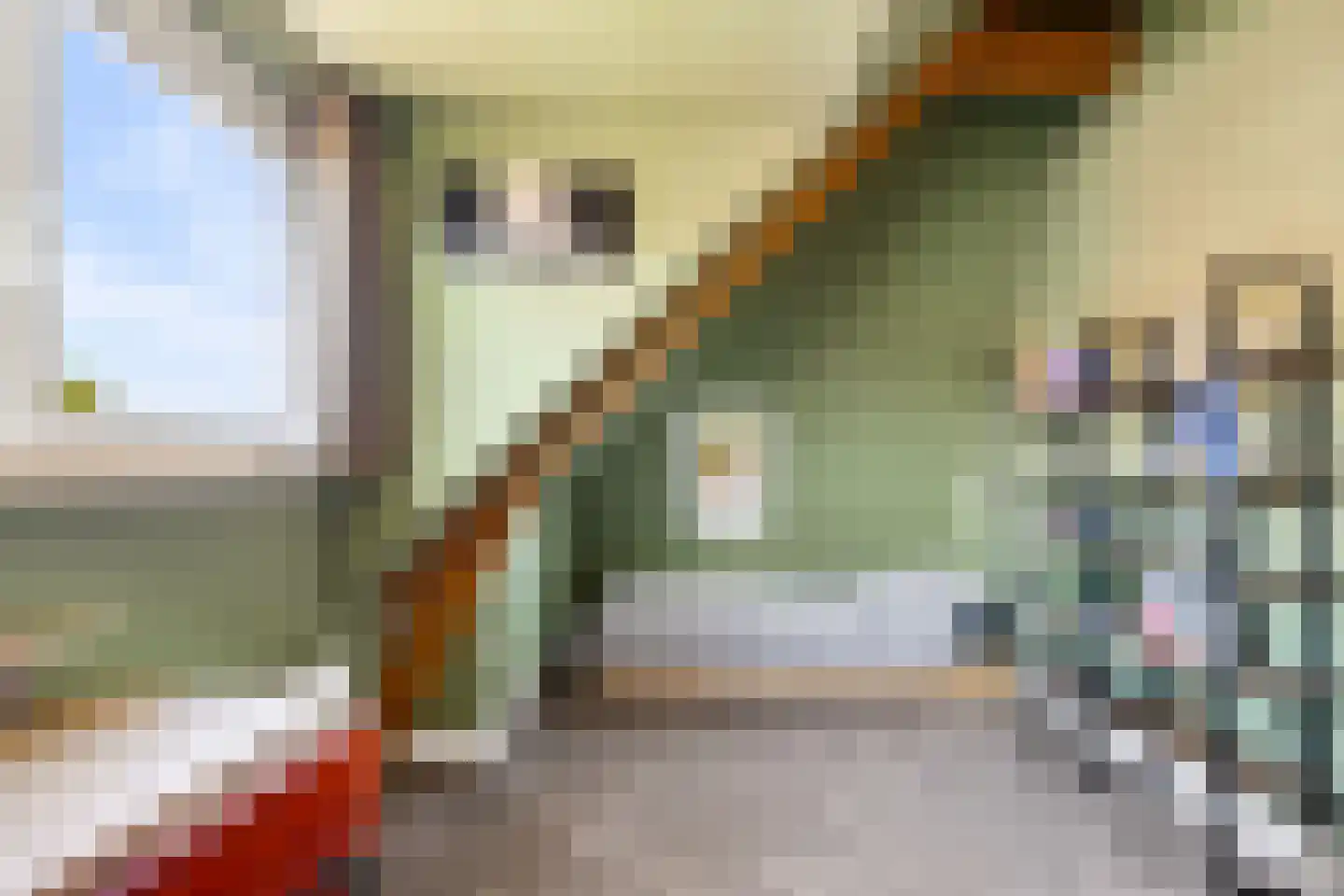 Beerninkstraat 23 Zwolle thumbnail 38