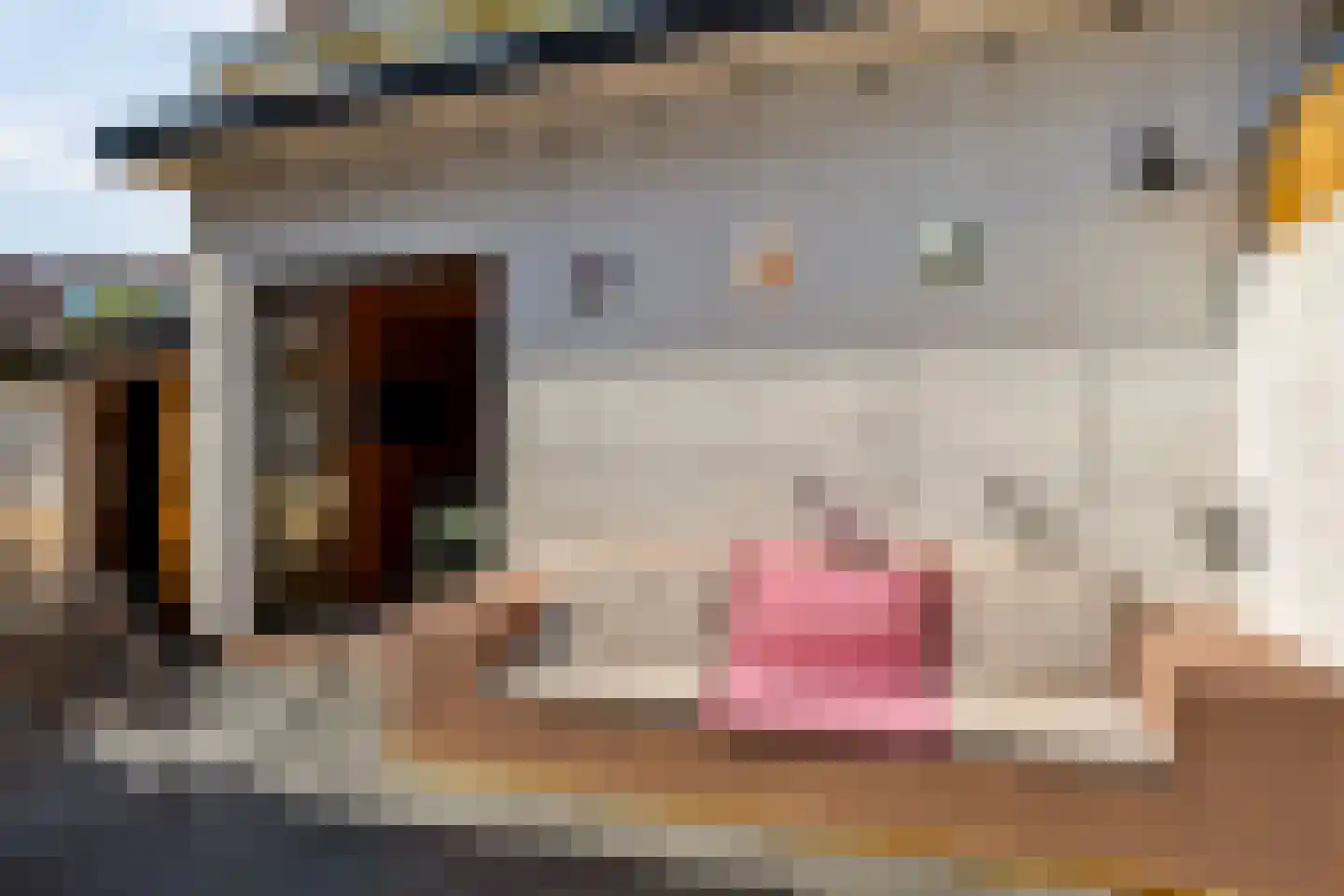 Beerninkstraat 23 Zwolle thumbnail 48