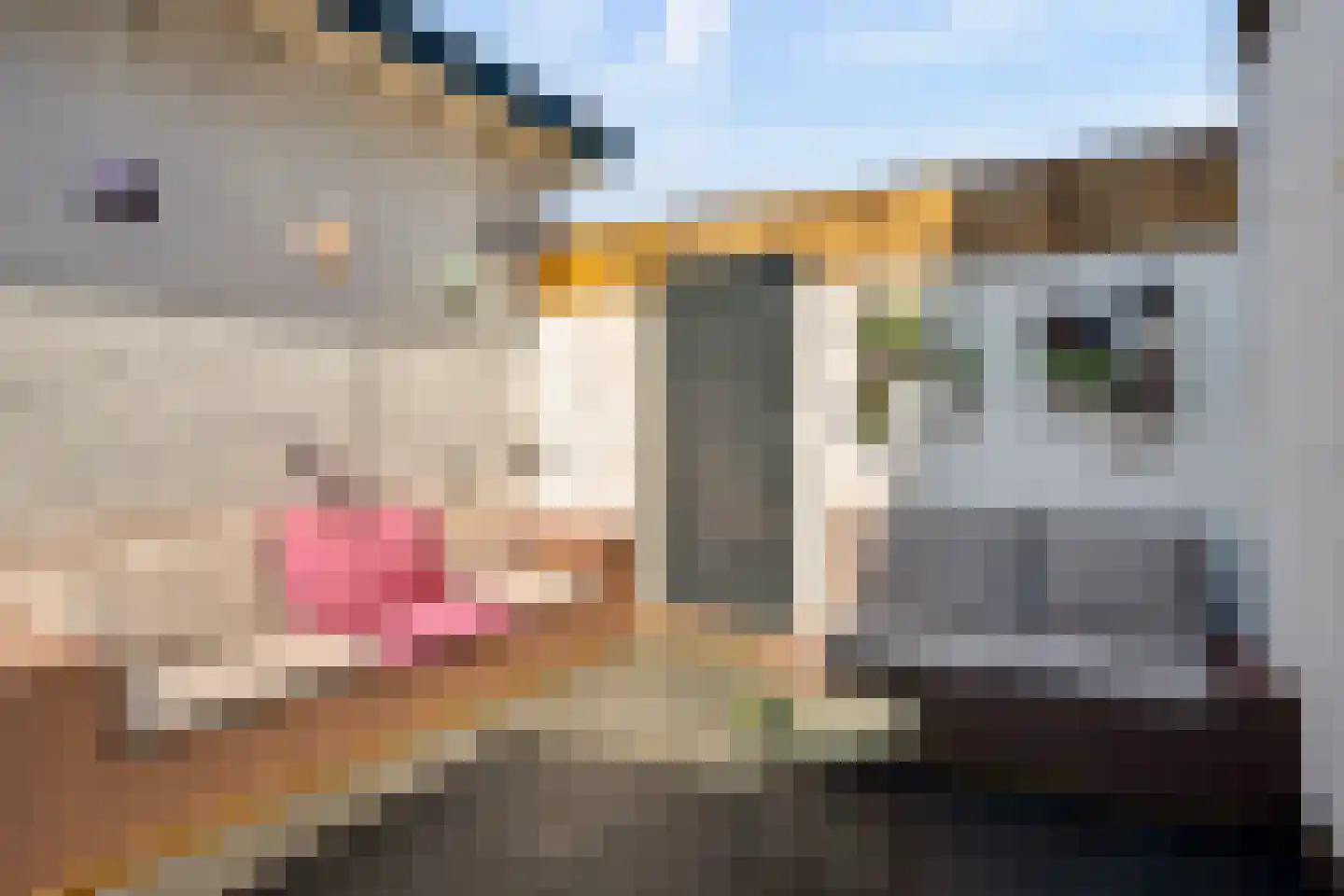 Beerninkstraat 23 Zwolle thumbnail 49