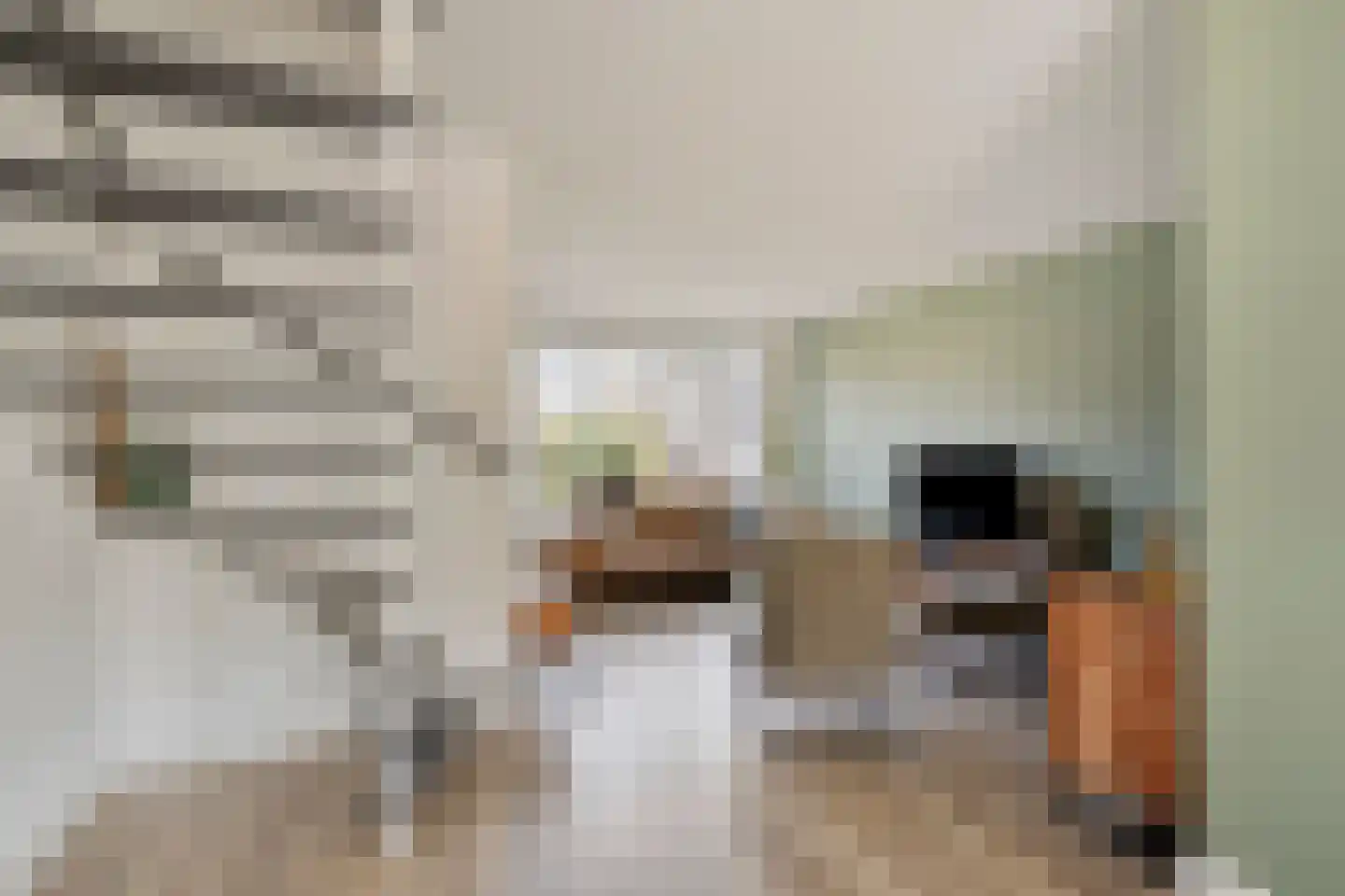 Beerninksweg 81 Borne thumbnail 11