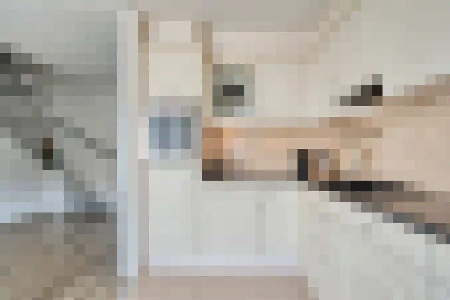 Beerninksweg 81 Borne thumbnail 12