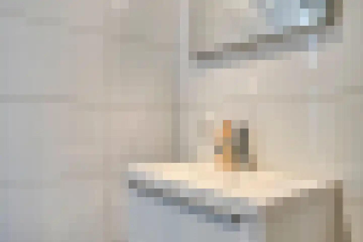 Beerninksweg 81 Borne thumbnail 18