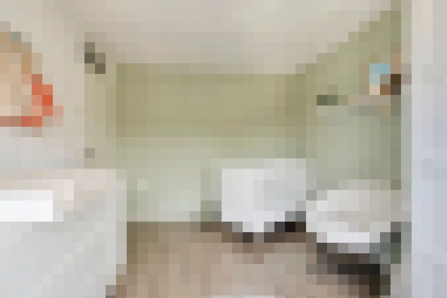 Beerninksweg 81 Borne thumbnail 20