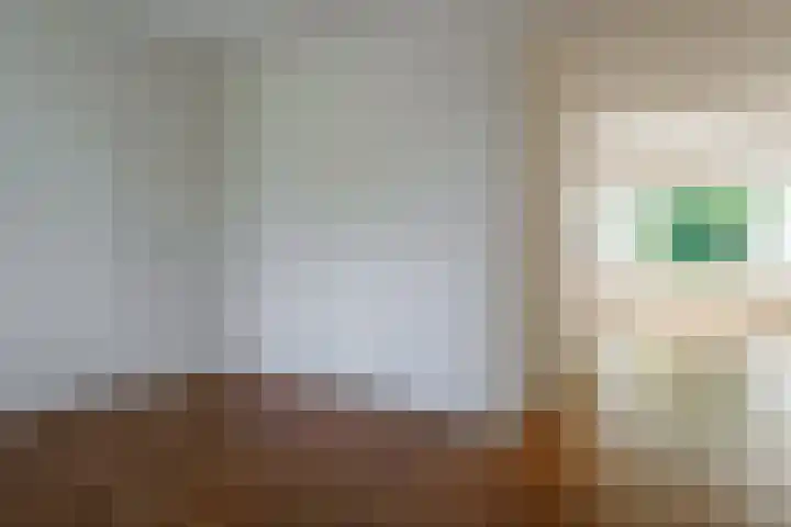 Beerninksweg 93 Borne thumbnail 11