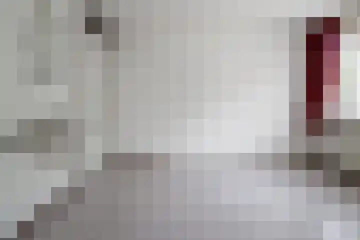Beerninksweg 93 Borne thumbnail 19