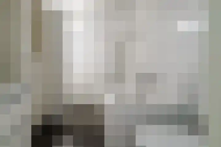 Beerninksweg 93 Borne thumbnail 20