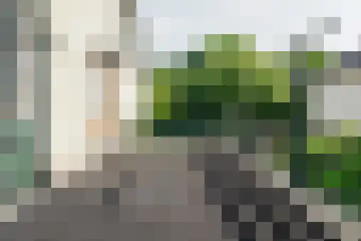 Beerninksweg 93 Borne thumbnail 25