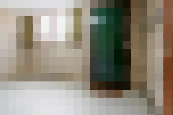 Beerninksweg 93 Borne thumbnail 30