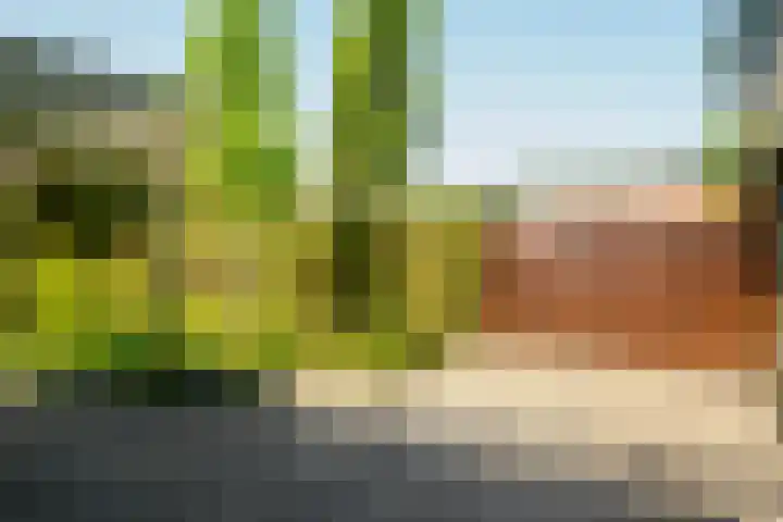 Beerninksweg 93 Borne thumbnail 34