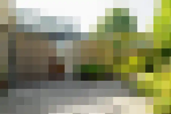 Beerninksweg 93 Borne thumbnail 35