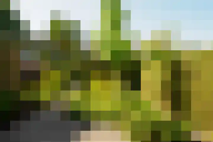 Beerninksweg 93 Borne thumbnail 36