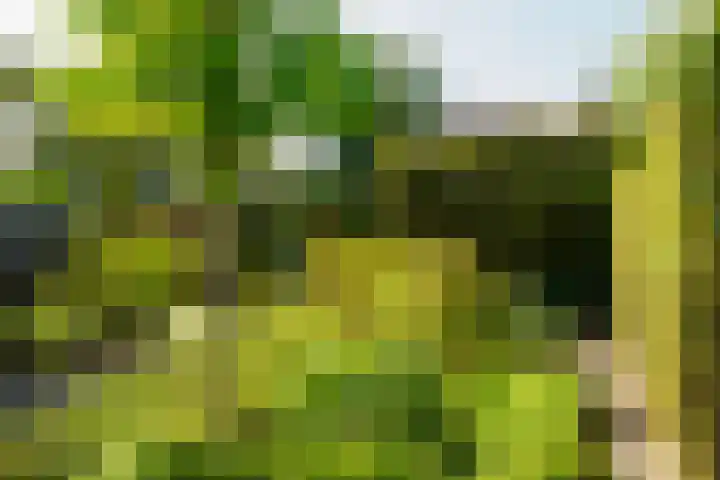 Beerninksweg 93 Borne thumbnail 37