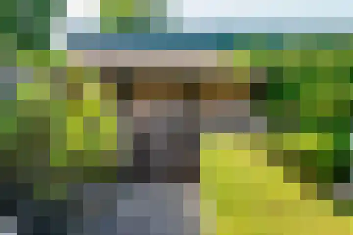 Beerninksweg 93 Borne thumbnail 38