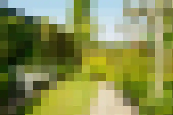 Beerninksweg 93 Borne thumbnail 39