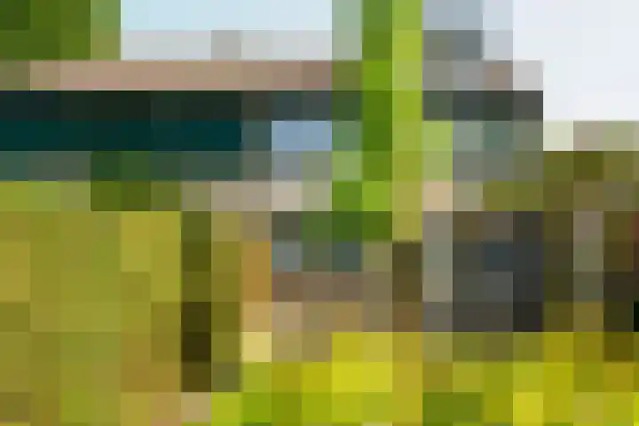 Beerninksweg 93 Borne thumbnail 40