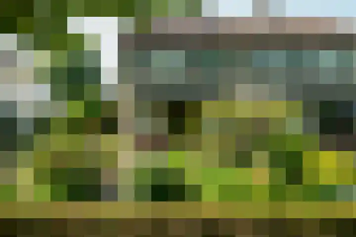 Beerninksweg 93 Borne thumbnail 41