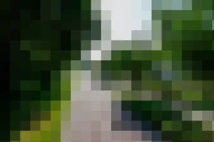 Beerninksweg 93 Borne thumbnail 43