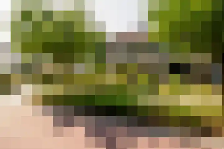 Beerninksweg 93 Borne thumbnail 44