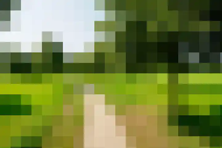 Beerninksweg 93 Borne thumbnail 45