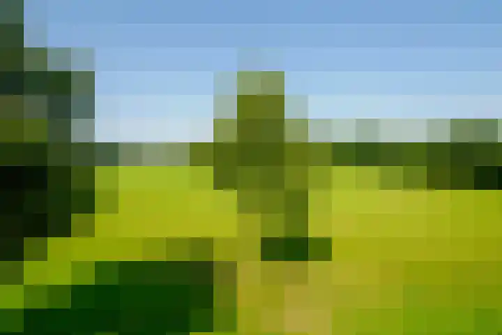 Beerninksweg 93 Borne thumbnail 46