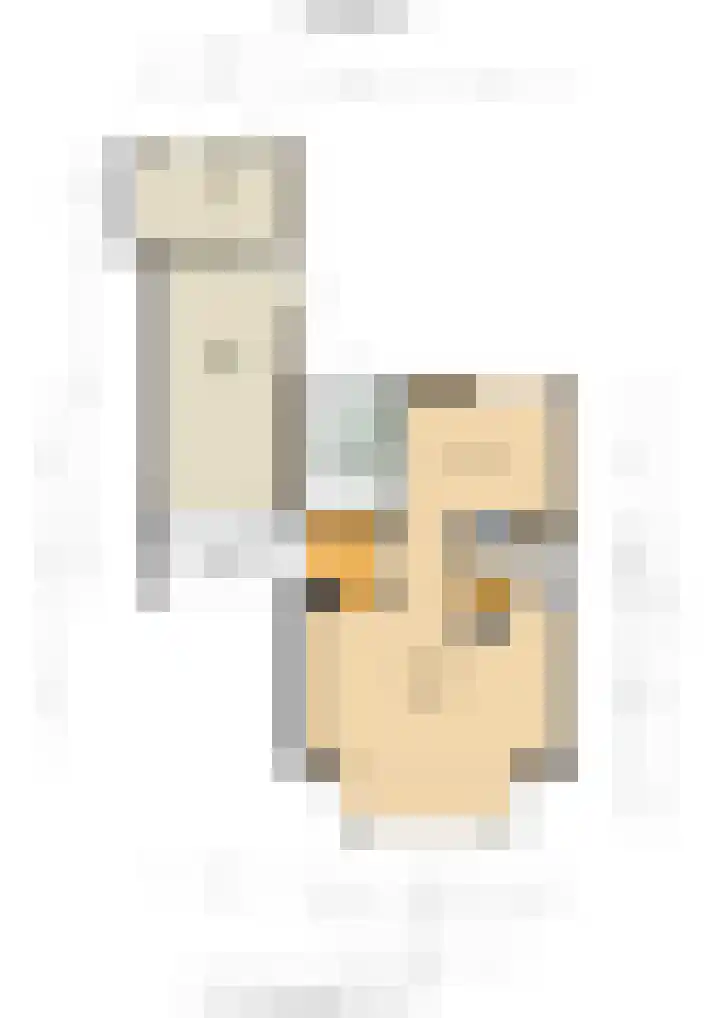 Beerninksweg 93 Borne thumbnail 48