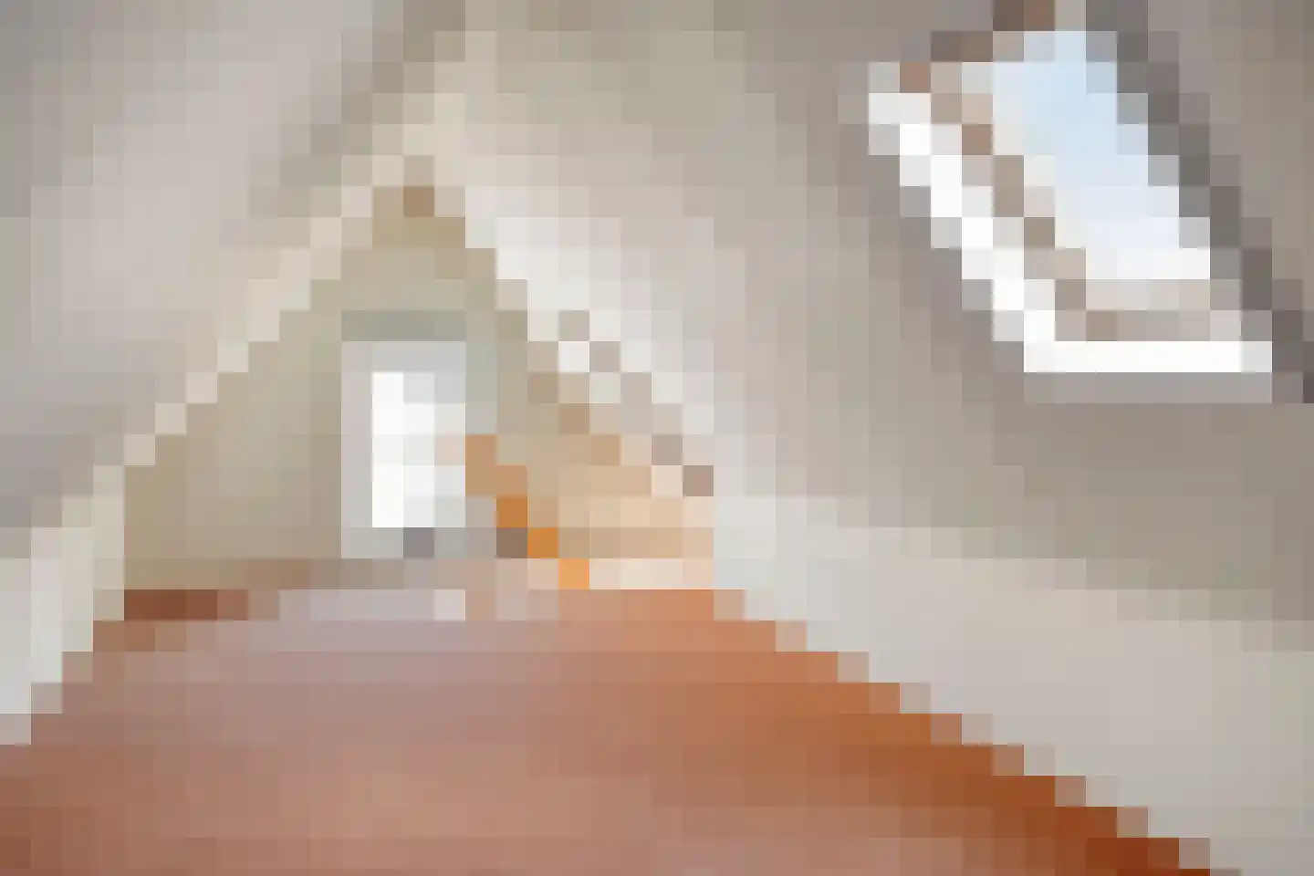Beerninkweg 7 Aalten thumbnail 26