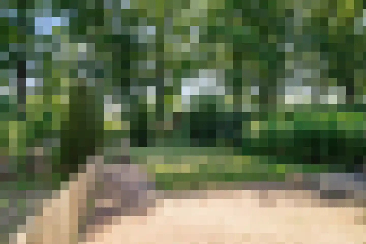 Beerninkweg 7 Aalten thumbnail 4