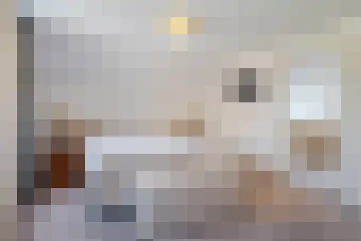 Beerschemaasweg 53 Escharen thumbnail 20