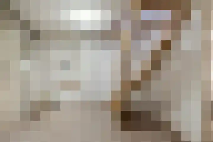 Beerschemaasweg 53 Escharen thumbnail 29