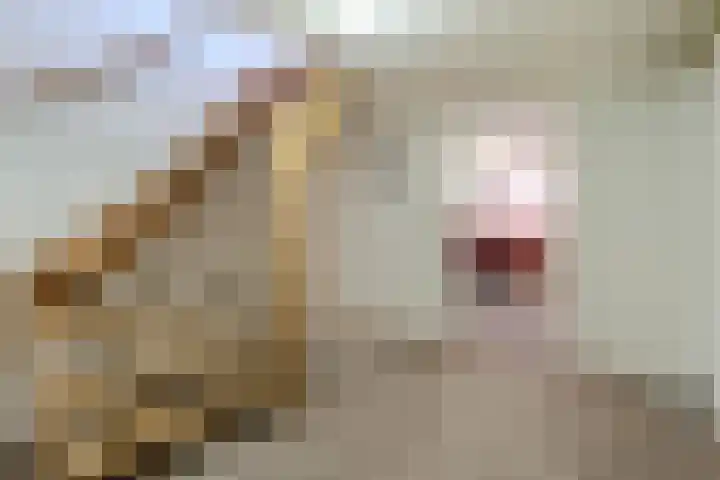 Beerschemaasweg 53 Escharen thumbnail 30