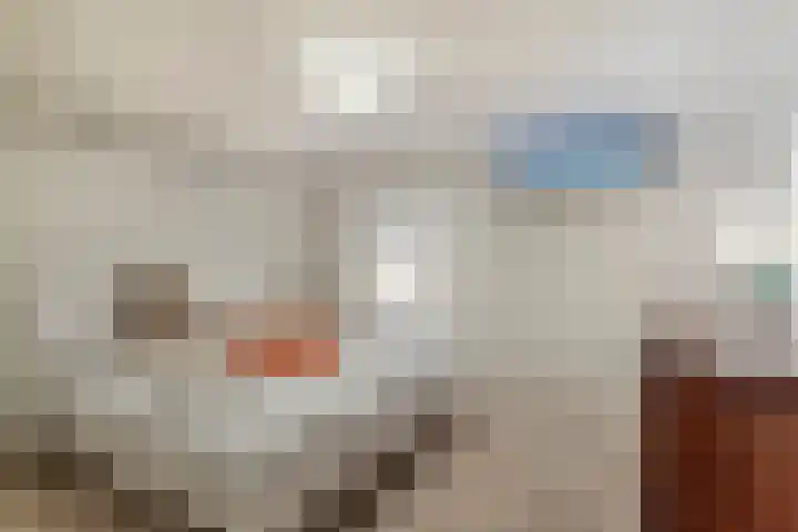 Beerschemaasweg 53 Escharen thumbnail 31