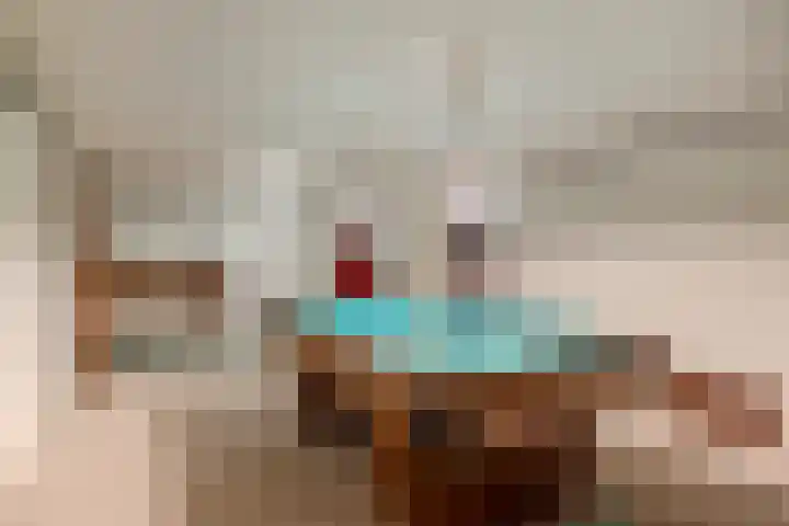 Beerschemaasweg 53 Escharen thumbnail 33