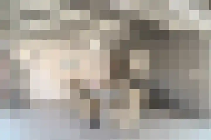 Beerschemaasweg 53 Escharen thumbnail 37