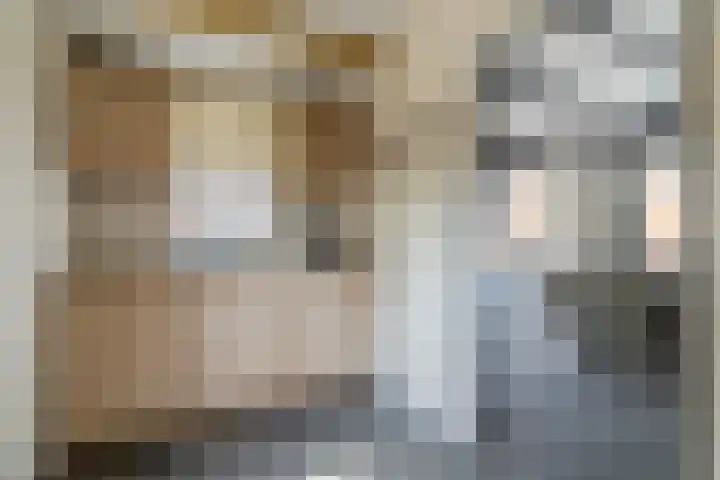 Beerschemaasweg 53 Escharen thumbnail 38