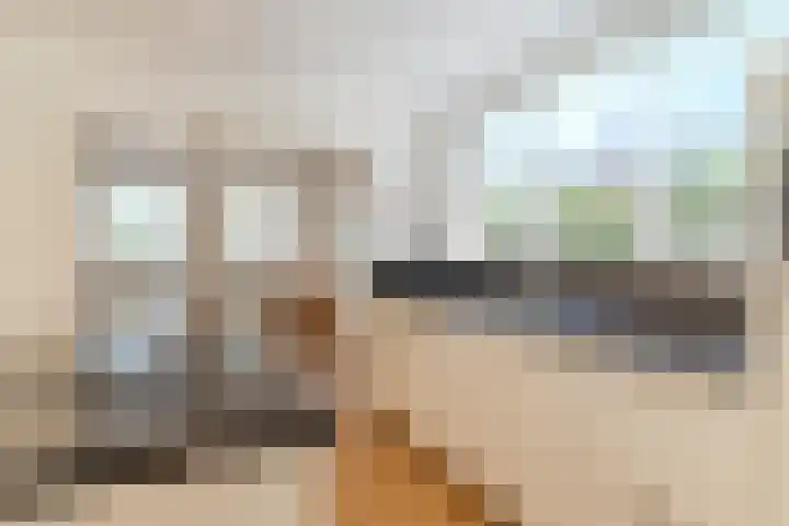 Beerschemaasweg 53 Escharen thumbnail 4