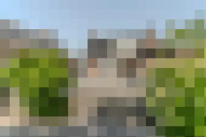 Beerschemaasweg 53 Escharen thumbnail 40