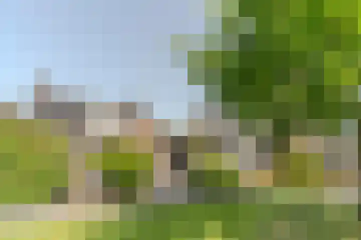 Beerschemaasweg 53 Escharen thumbnail 41