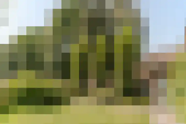 Beerschemaasweg 53 Escharen thumbnail 42