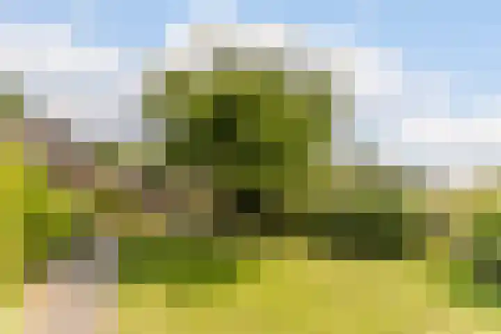 Beerschemaasweg 53 Escharen thumbnail 44