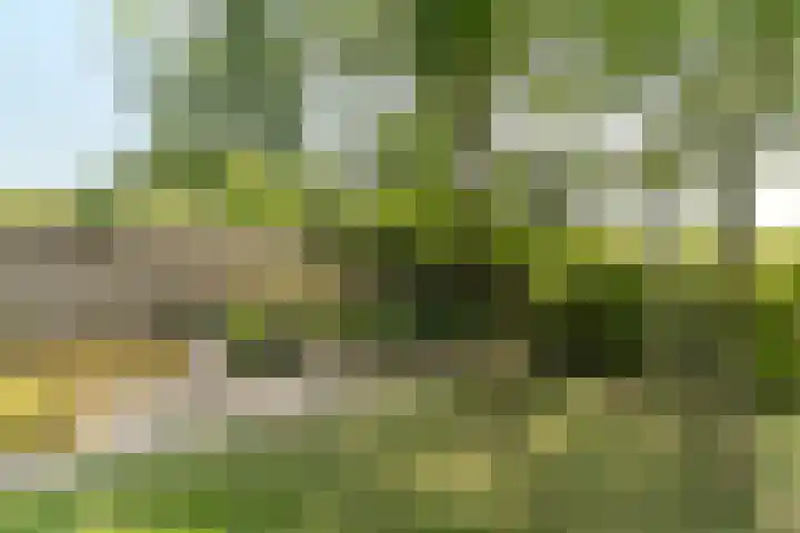 Beerschemaasweg 53 Escharen thumbnail 45