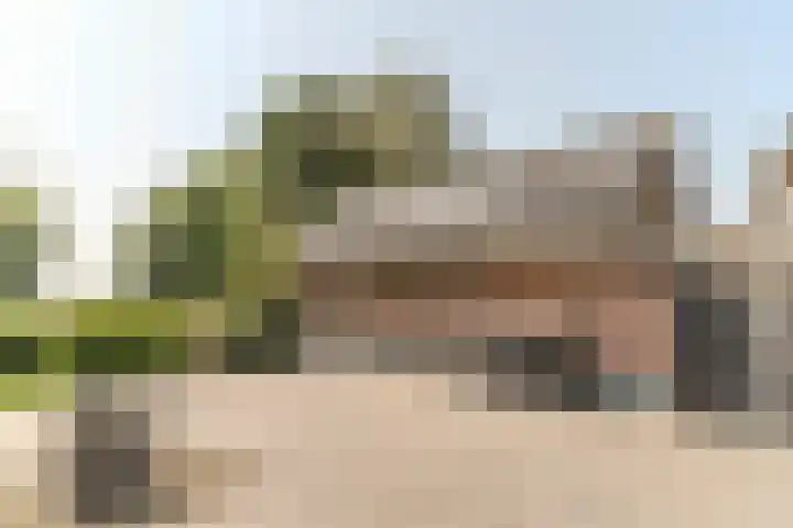 Beerschemaasweg 53 Escharen thumbnail 46