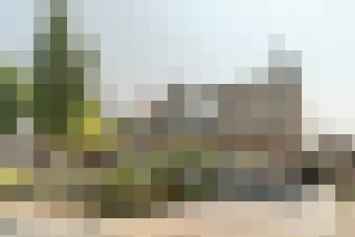 Beerschemaasweg 53 Escharen thumbnail 49