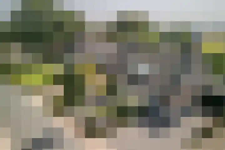 Beerschemaasweg 53 Escharen thumbnail 50