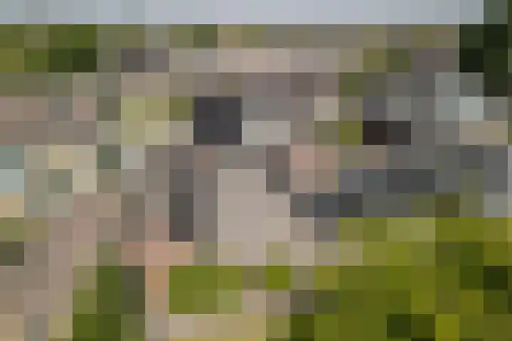 Beerschemaasweg 53 Escharen thumbnail 52